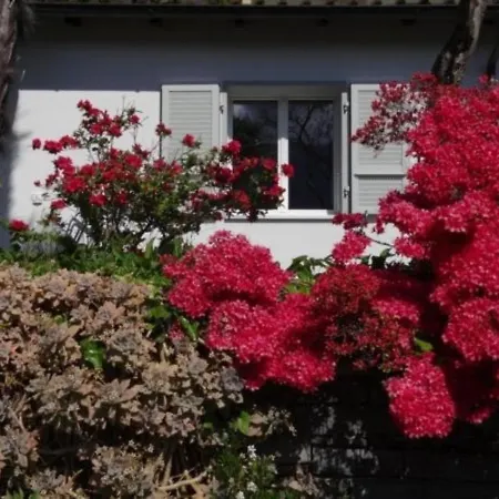 Eco-casa Paradiso C, Schwimmbad, Garten Und Wunderschone Seesicht, Ruhig Und Sonnig Gelegen Сasa de vacaciones Minusio